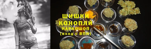 стаф Покровск