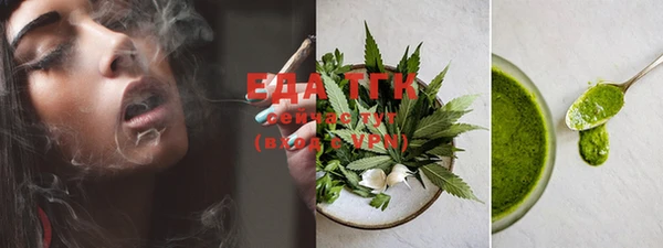 индика Приозерск