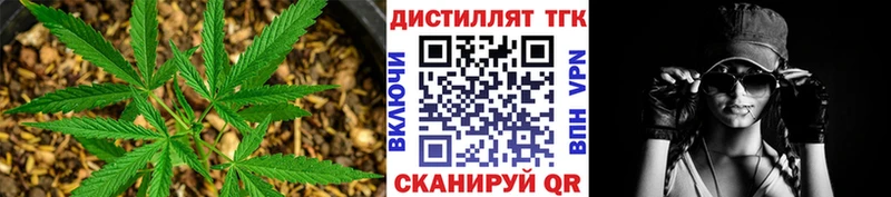 Купить где Заречный Дистиллят ТГК гашишное масло