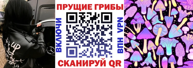 Псилоцибиновые грибы мицелий  Купить где  Заречный 