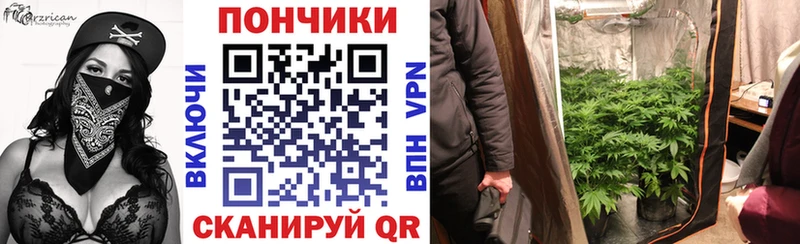 Купить  Заречный  Бошки Шишки гибрид 